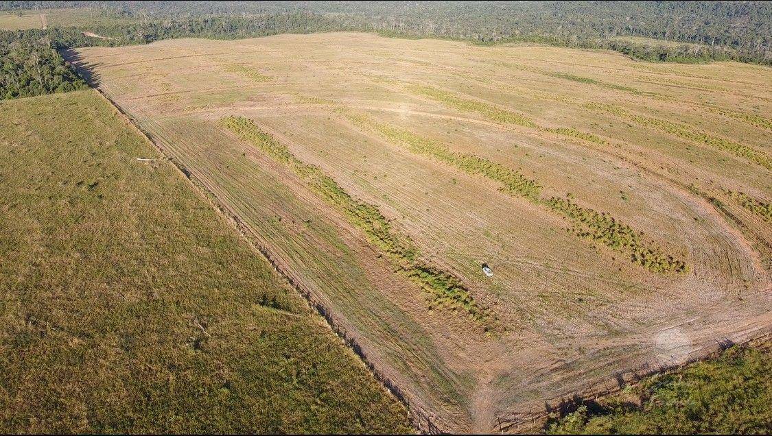 Fazenda à venda, 10510000M2 - Foto 5