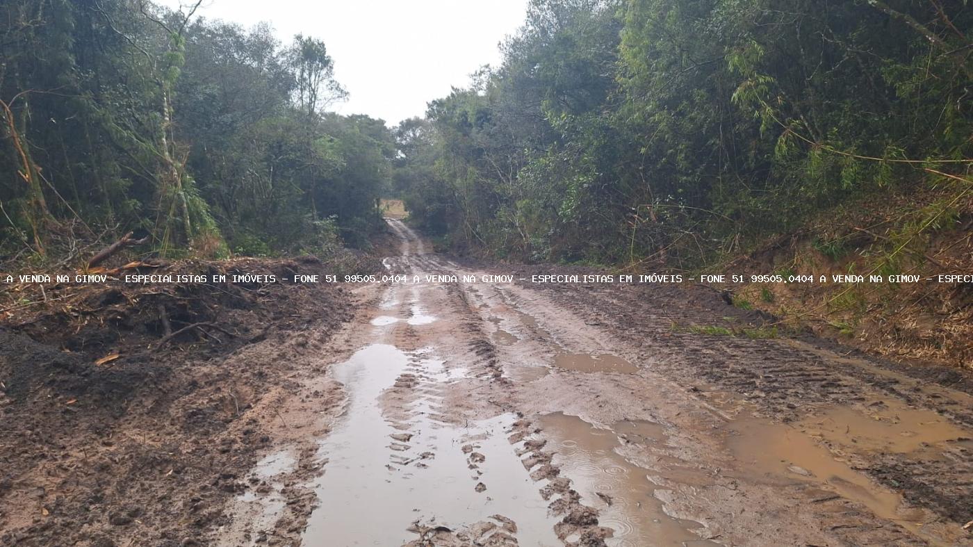 Fazenda à venda com 2 quartos, 141000m² - Foto 15