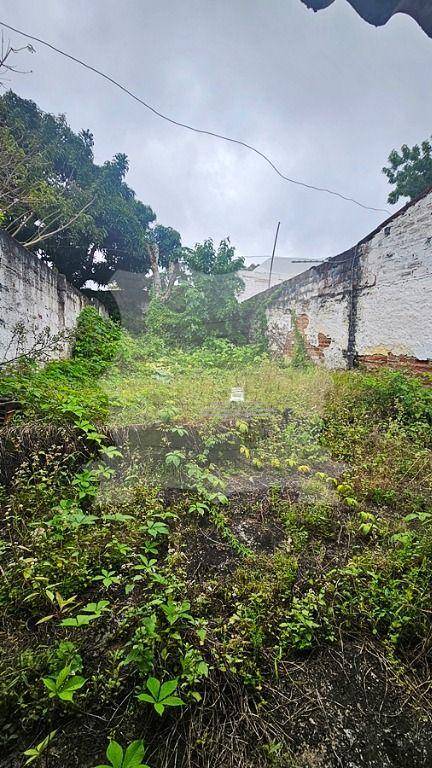 Casa, 3 quartos, 80 m² - Foto 15