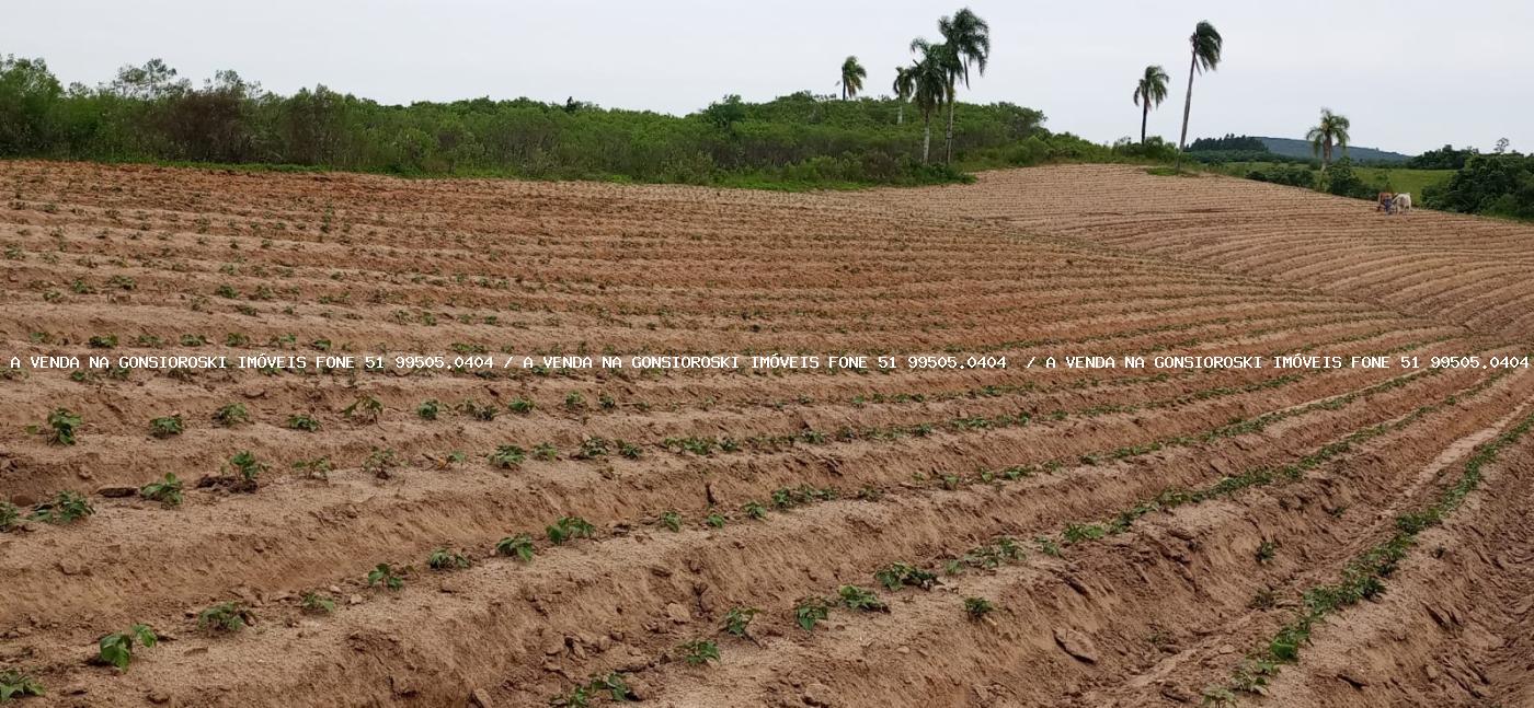 Loteamento e Condomínio à venda, 300000m² - Foto 1