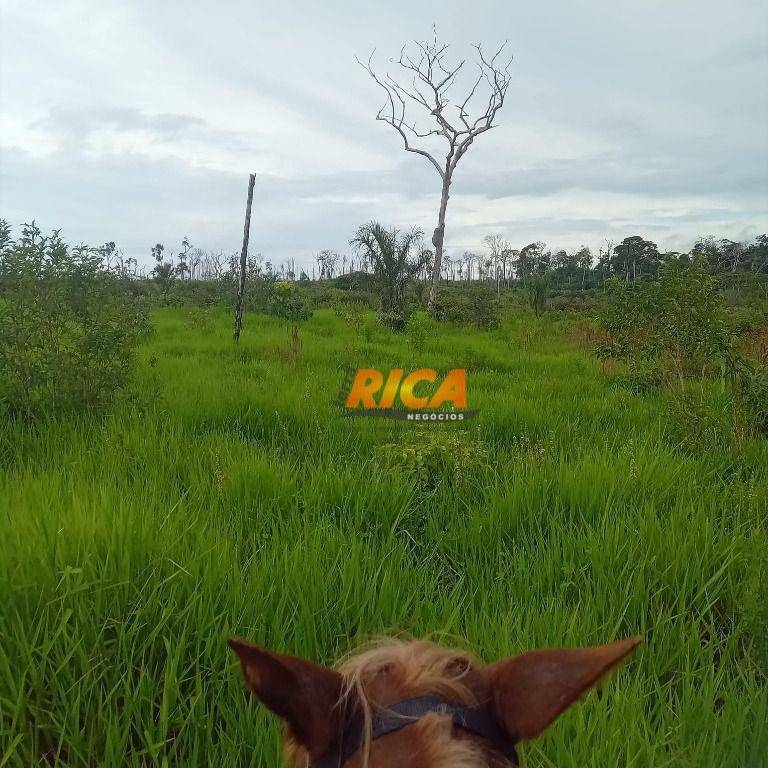 Fazenda à venda, 6500000M2 - Foto 12