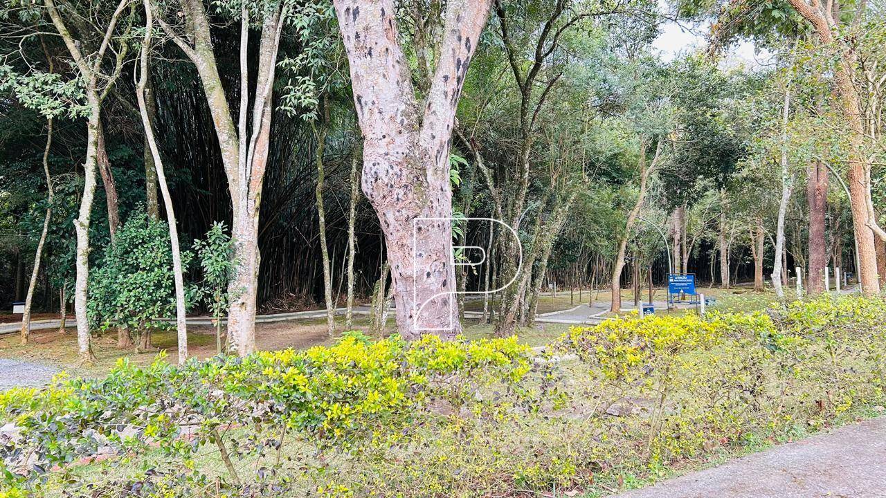 Loteamento e Condomínio, 250 m² - Foto 12