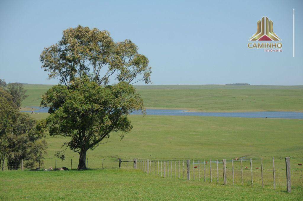 Fazenda à venda com 5 quartos, 33455000M2 - Foto 24