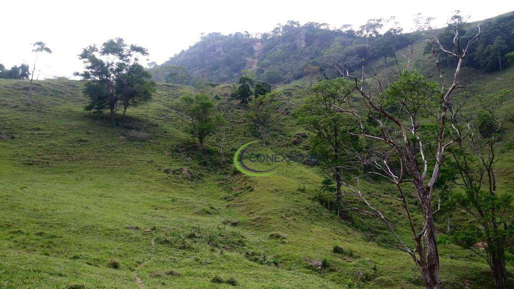 Fazenda à venda com 3 quartos, 2970000M2 - Foto 18