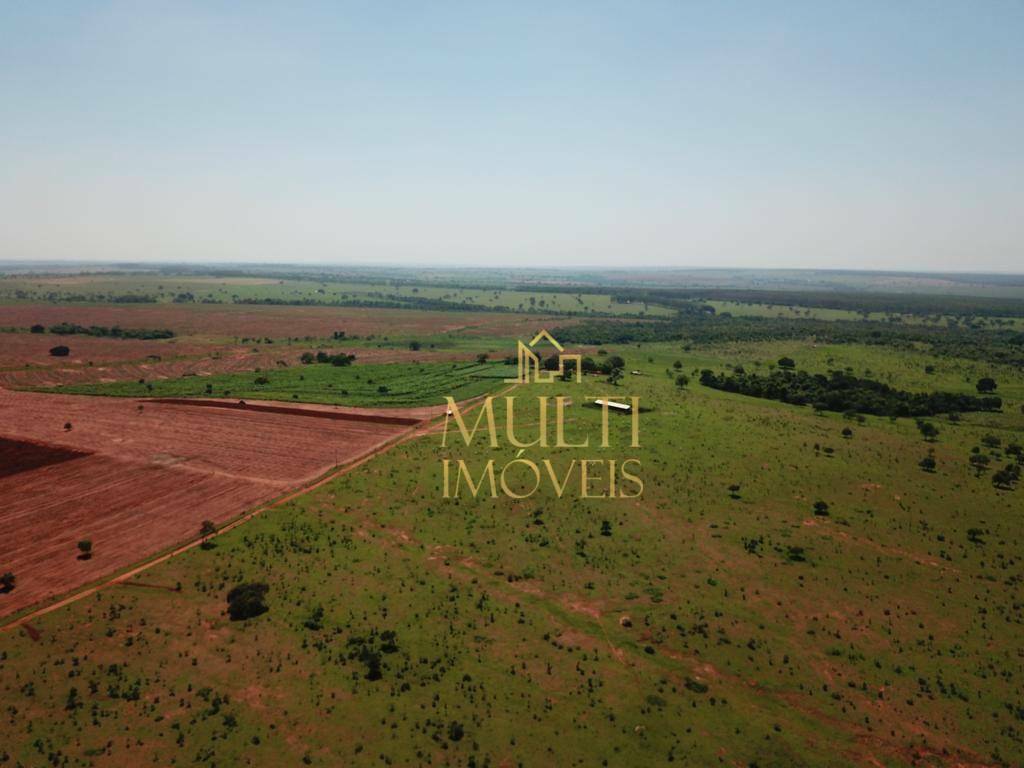 Fazenda à venda com 3 quartos, 2538338M2 - Foto 8