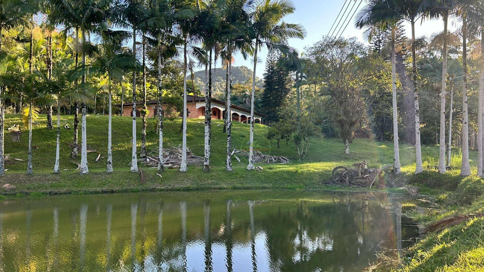 Sítio, 19 hectares - Foto 4