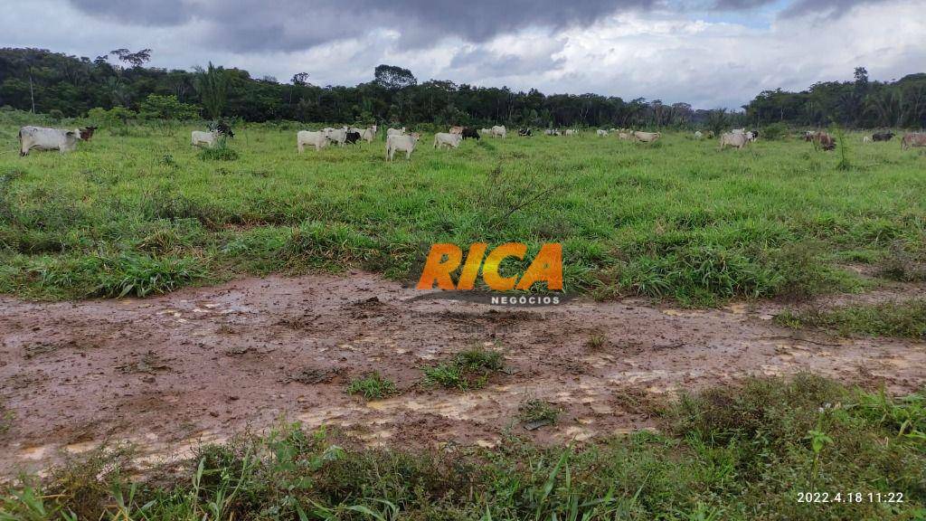 Fazenda à venda, 1000000M2 - Foto 13