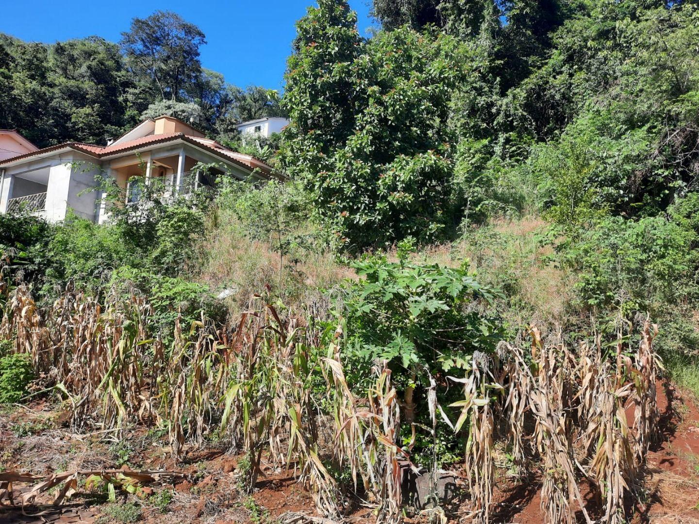 Terreno, 450 m² - Foto 12