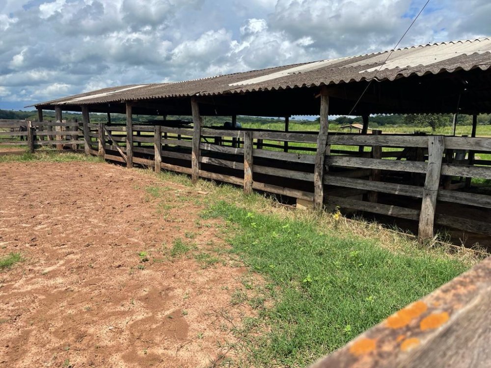 Fazenda à venda, 100m² - Foto 9