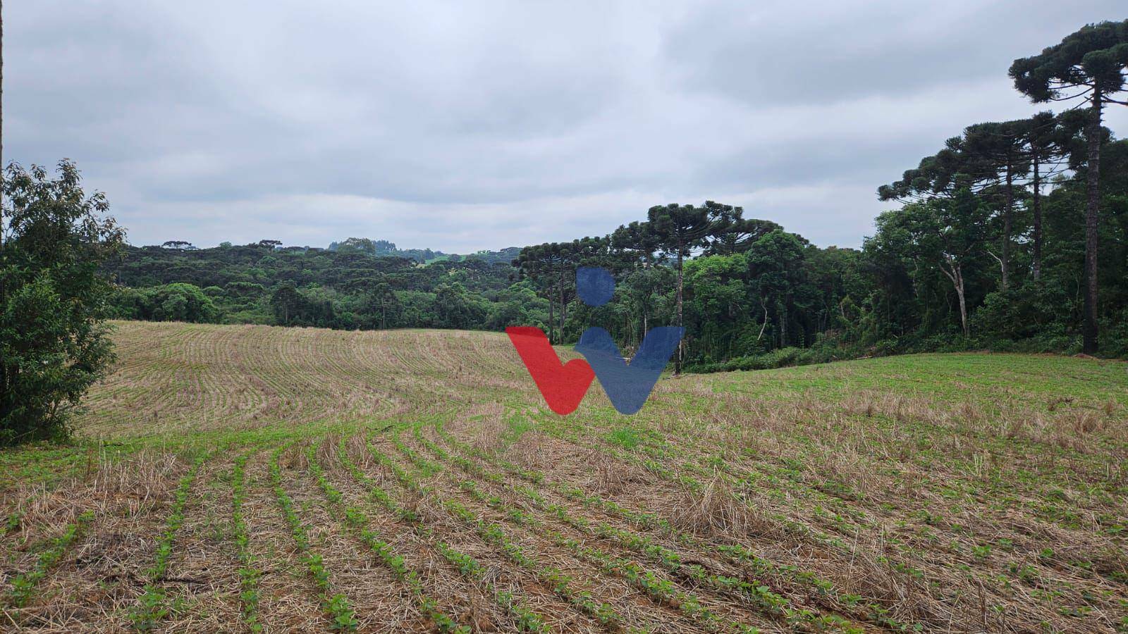 Fazenda à venda com 3 quartos, 1694000M2 - Foto 30