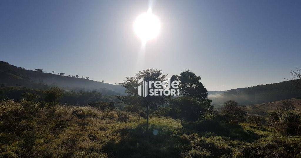 Sítio à venda com 7 quartos, 147000M2 - Foto 4
