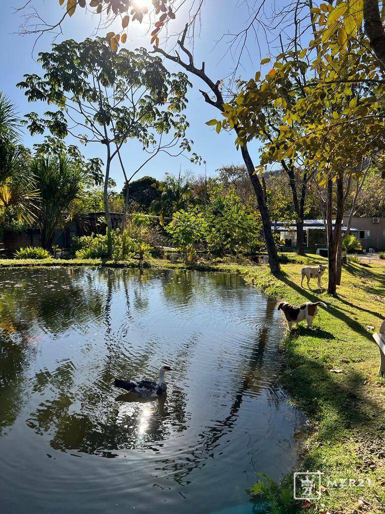 Chácara à venda com 4 quartos, 6000M2 - Foto 11