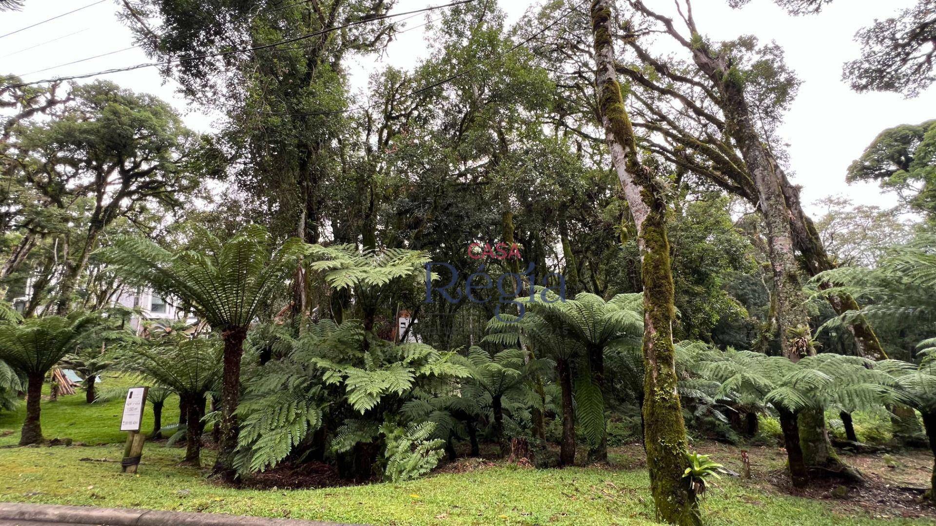 Loteamento e Condomínio à venda, 1024M2 - Foto 4