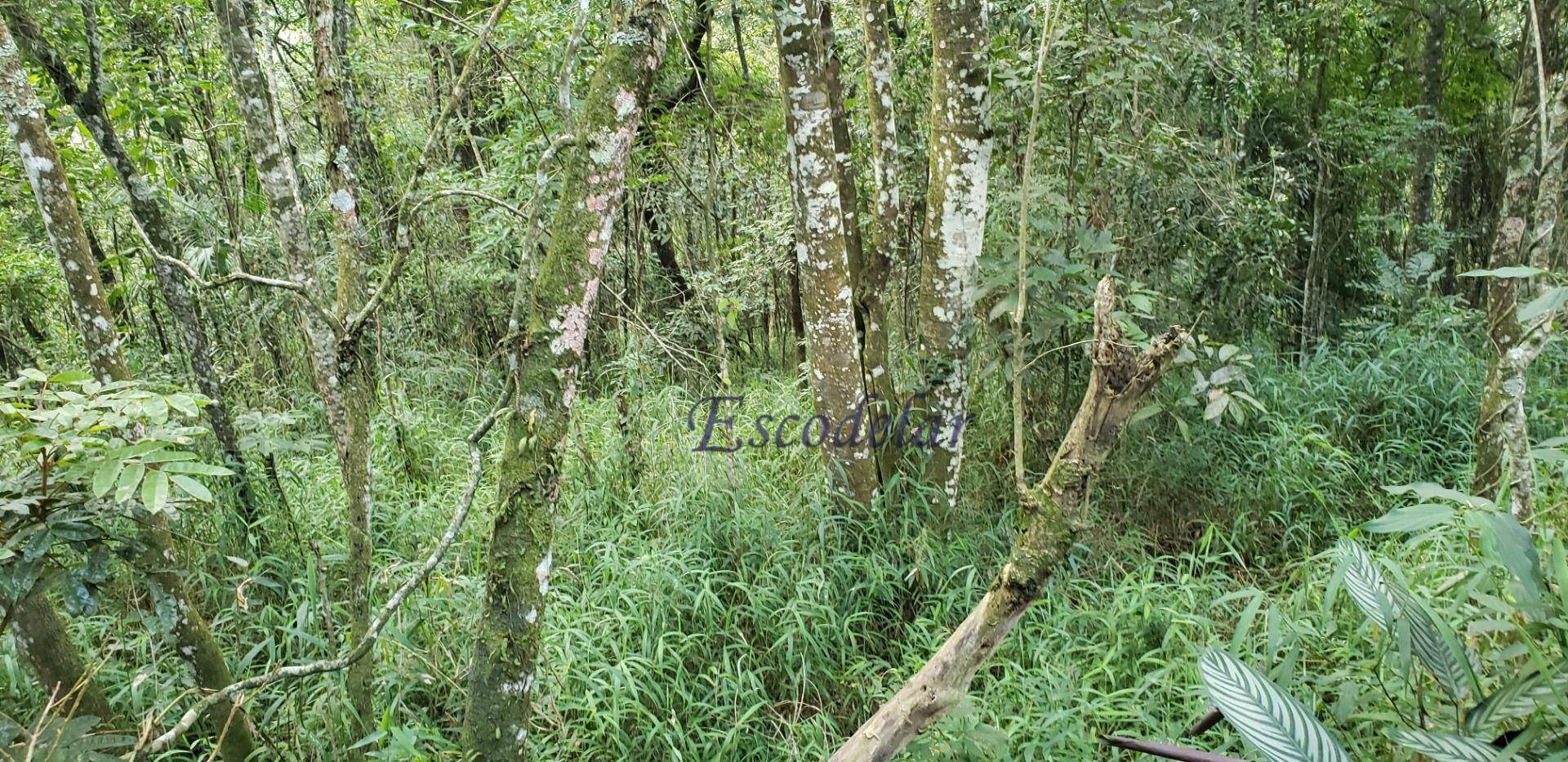 Loteamento e Condomínio à venda, 2088M2 - Foto 9