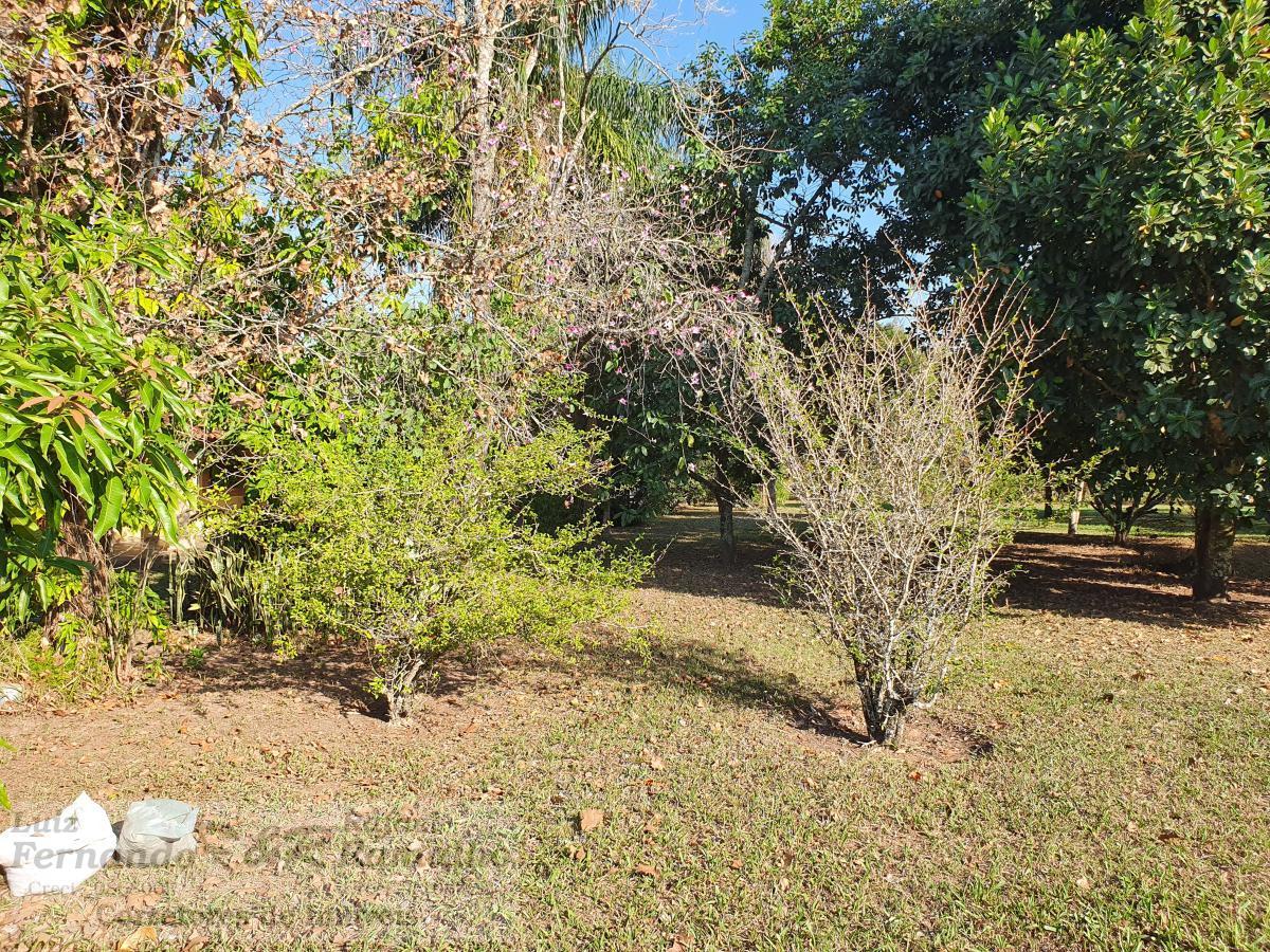 Fazenda à venda com 4 quartos, 5600m² - Foto 54