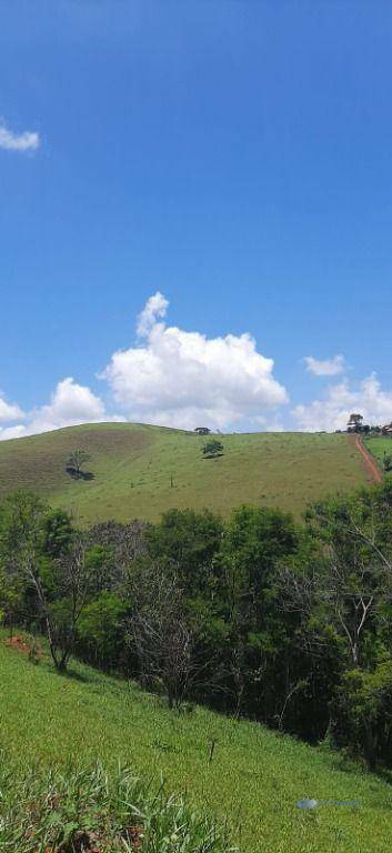 Terreno à venda, 753M2 - Foto 3