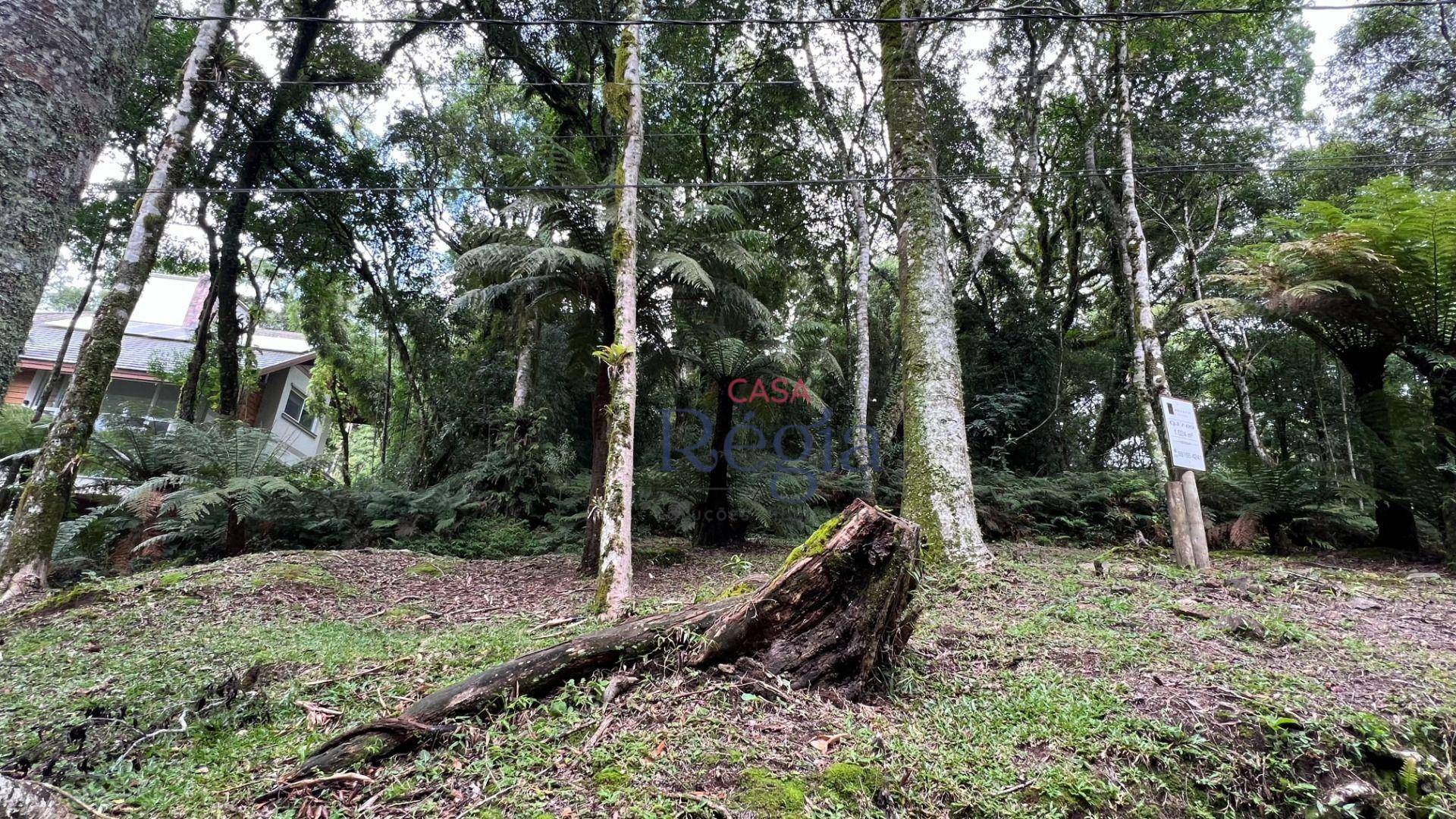 Loteamento e Condomínio à venda, 1024M2 - Foto 3