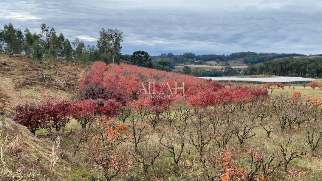 Terreno à venda, 527m² - Foto 23