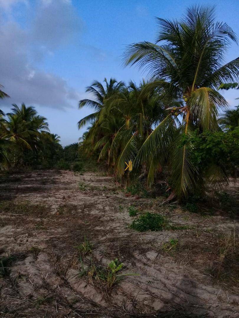 Terreno à venda, 160000M2 - Foto 6