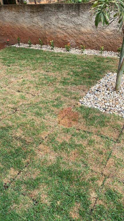 Chácara, 3 quartos, 1000 m² - Foto 31