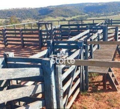 Fazenda-Sítio-Chácara, 324 hectares - Foto 1