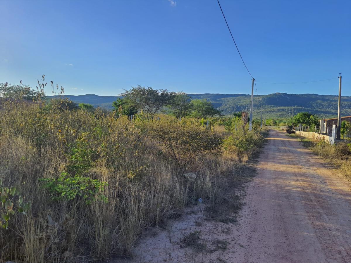 Terreno à venda, 5000m² - Foto 5