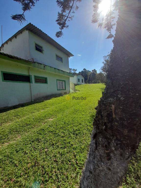 Terreno, 9980 m² - Foto 6