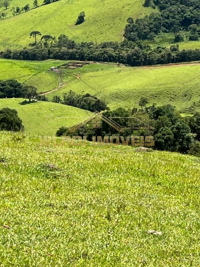 Fazenda-Sítio-Chácara, 90 m² - Foto 7