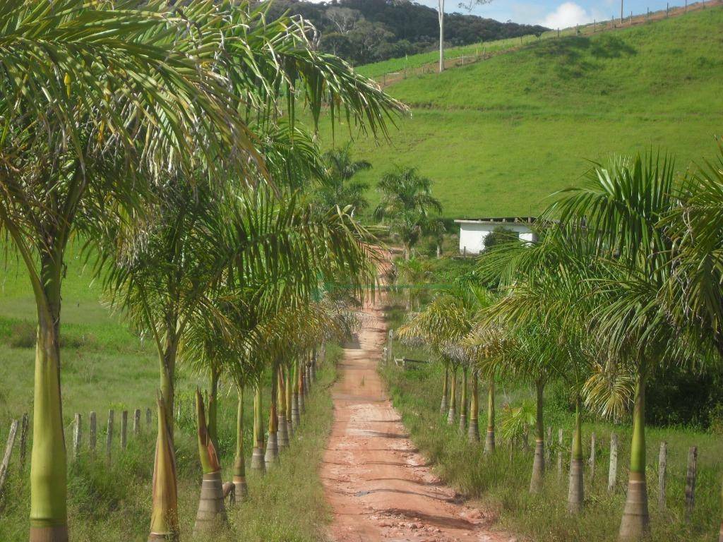 Fazenda à venda com 3 quartos, 120m² - Foto 11