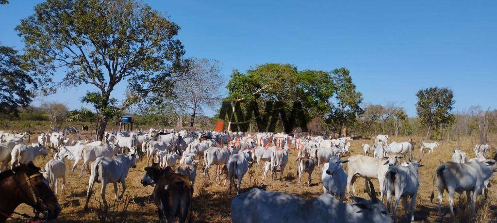 Fazenda à venda, 11567600M2 - Foto 1