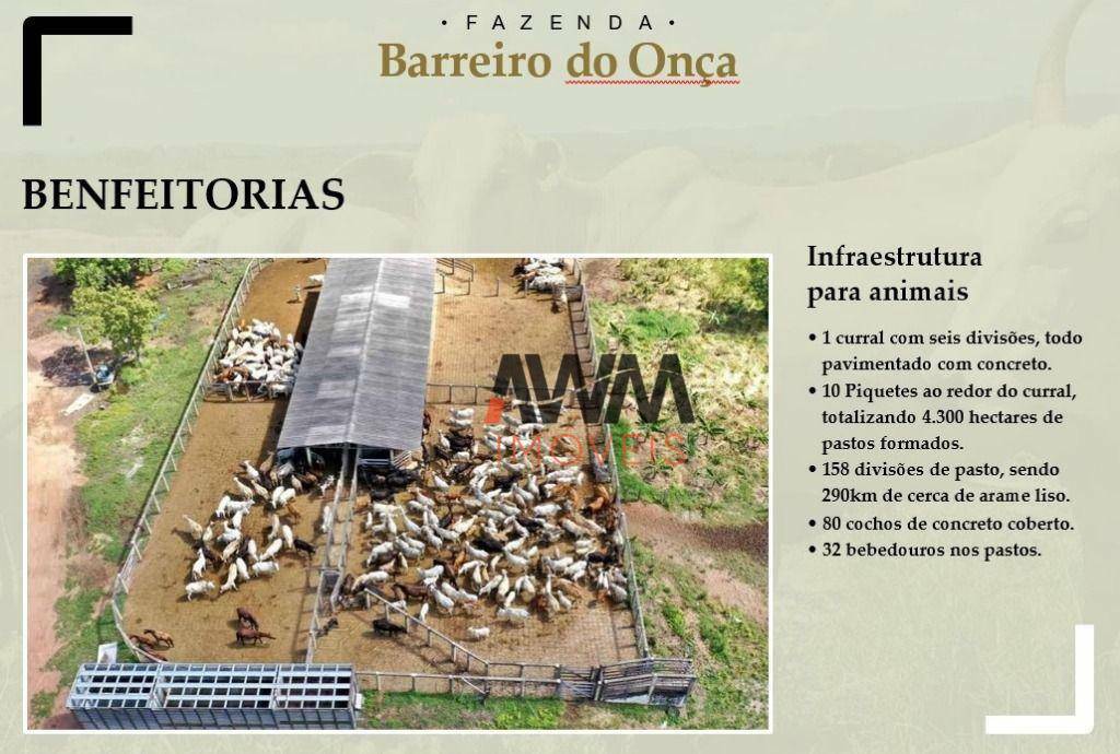 Fazenda-Sítio-Chácara, 9700 hectares - Foto 4