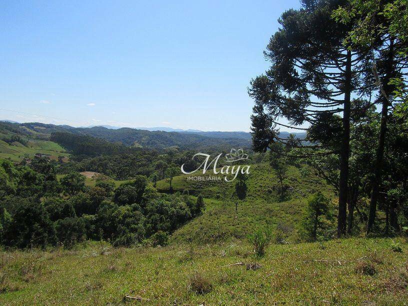 Terreno à venda, 120000M2 - Foto 1