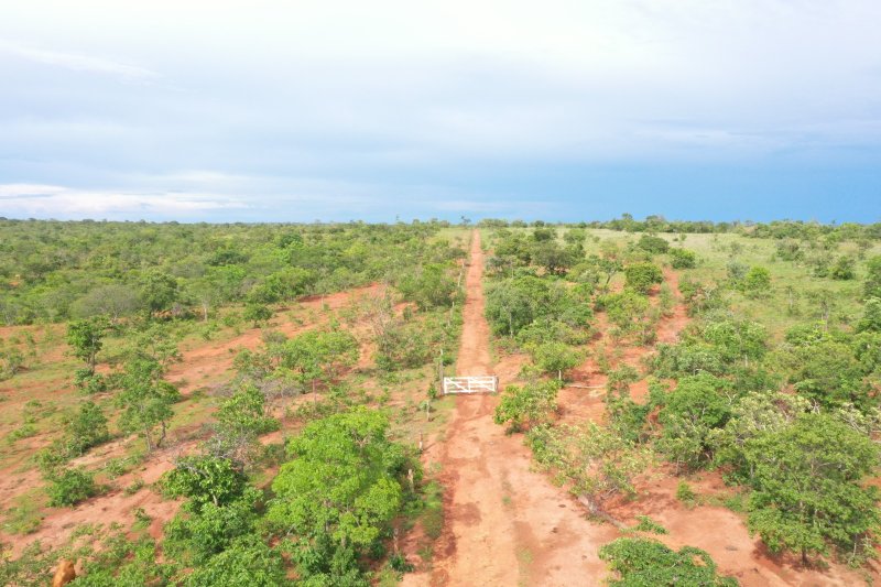 Fazenda à venda, 1613m² - Foto 9