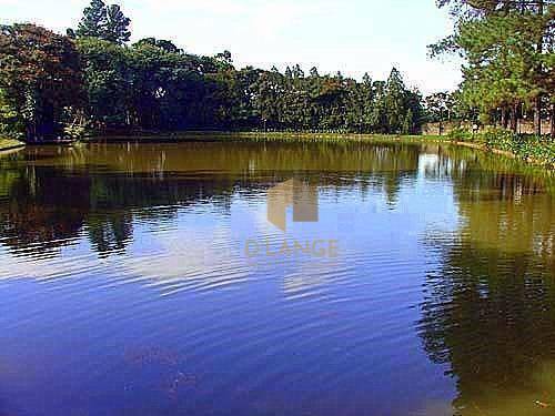 Loteamento e Condomínio à venda, 1160M2 - Foto 9