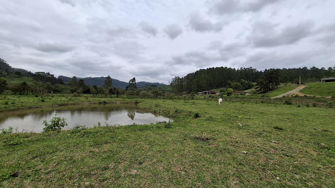 Fazenda à venda com 1 quarto, 10000m² - Foto 27