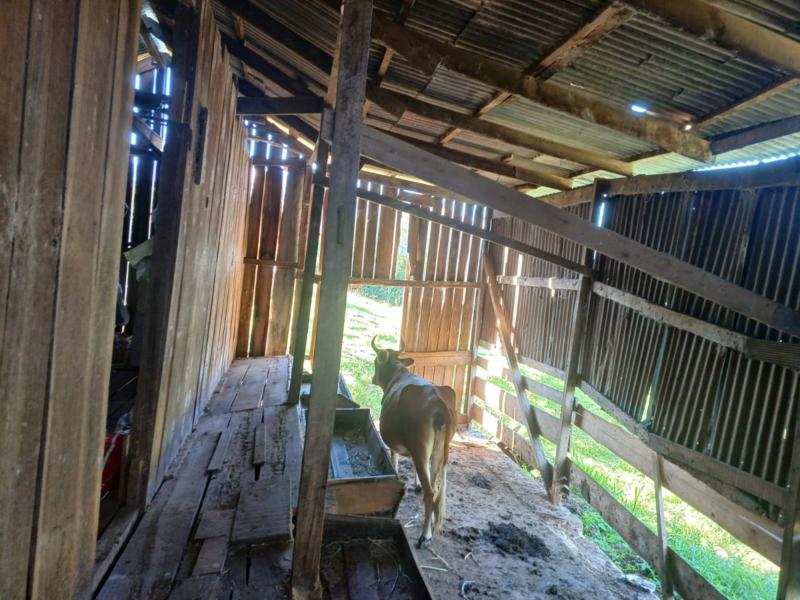 Sítio à venda com 1 quarto, 150m² - Foto 24