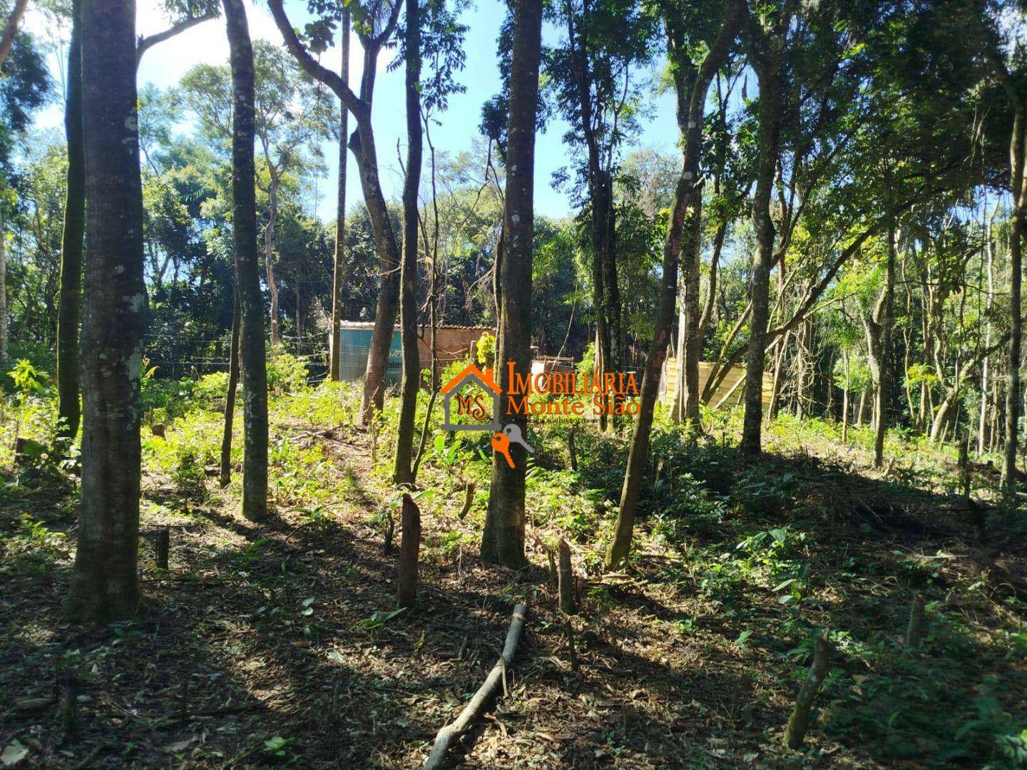 Terreno à venda, 3068M2 - Foto 13