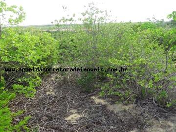 Fazenda à venda com 3 quartos, 170m² - Foto 26