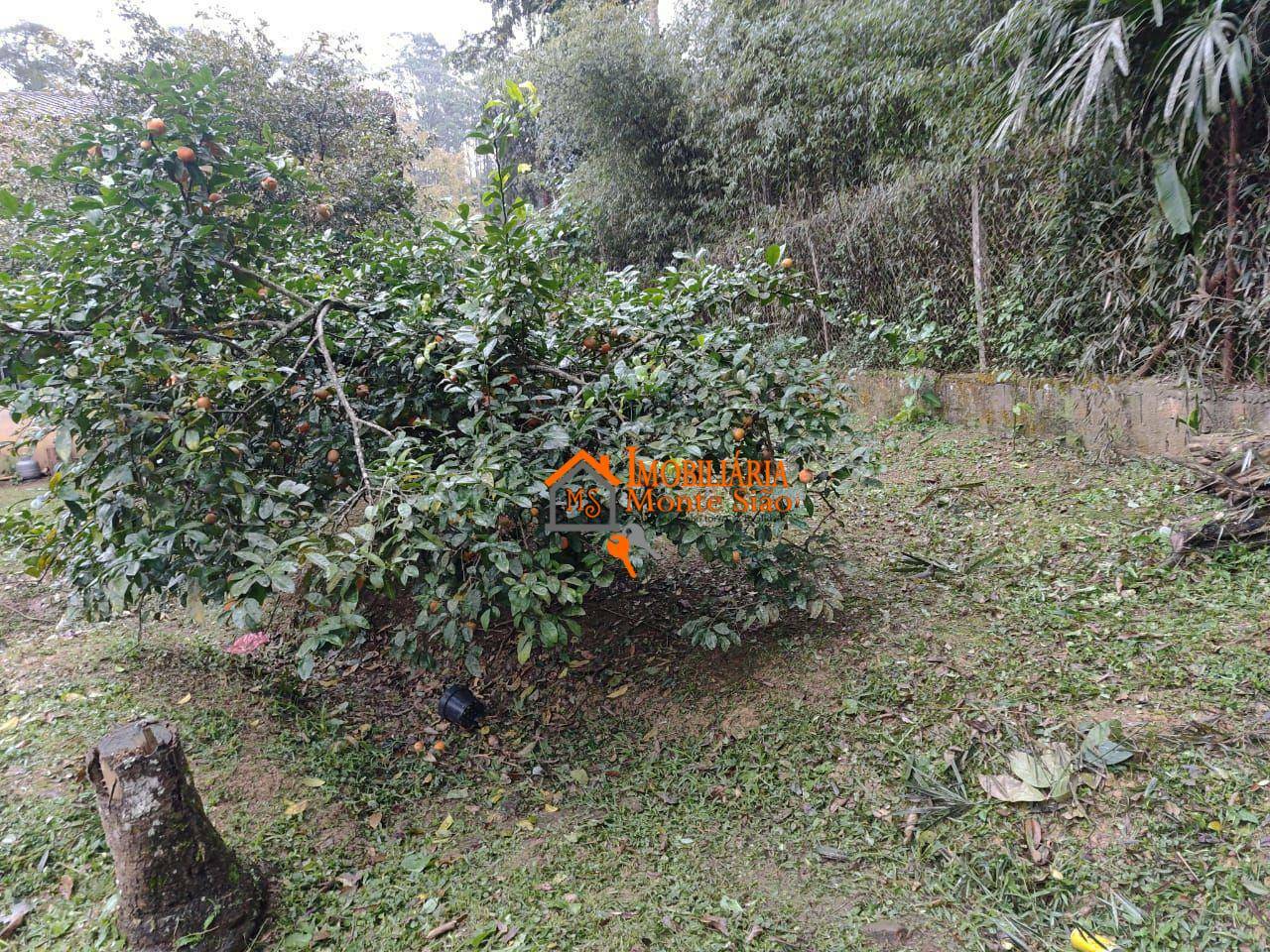 Chácara, 3 quartos, 1000 m² - Foto 29