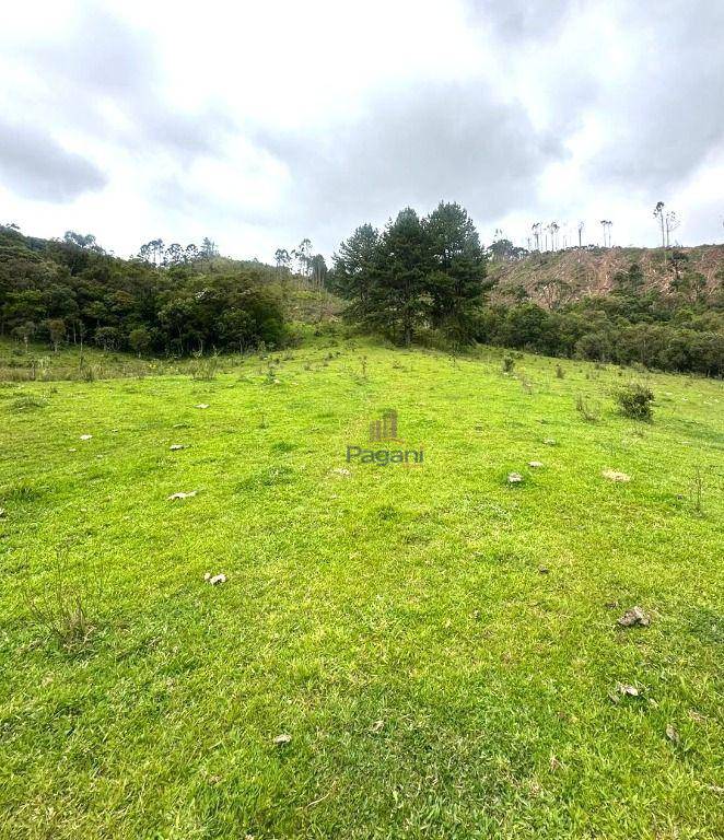 Terreno, 10 hectares - Foto 7