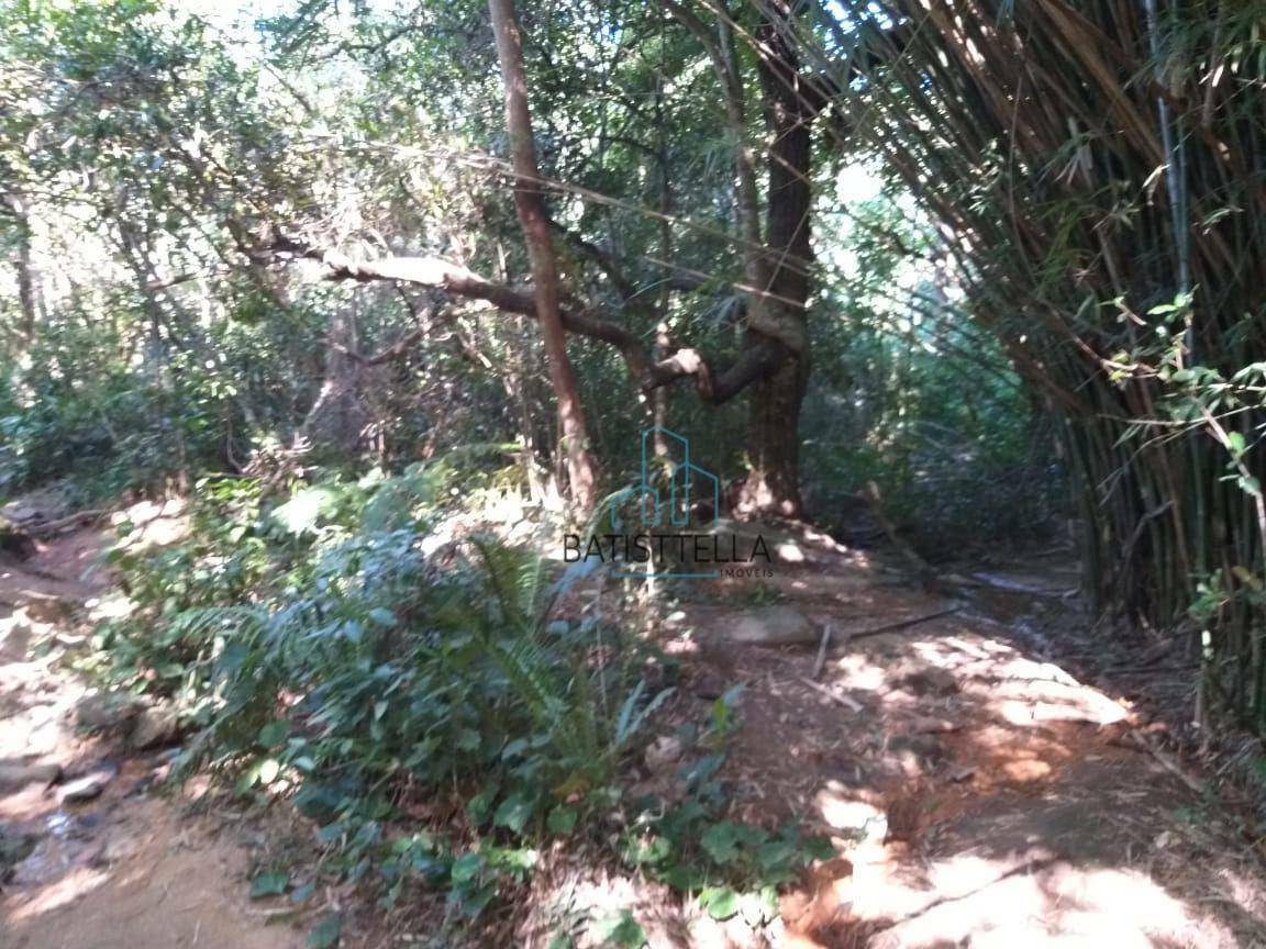 Terreno, 1 hectares - Foto 9