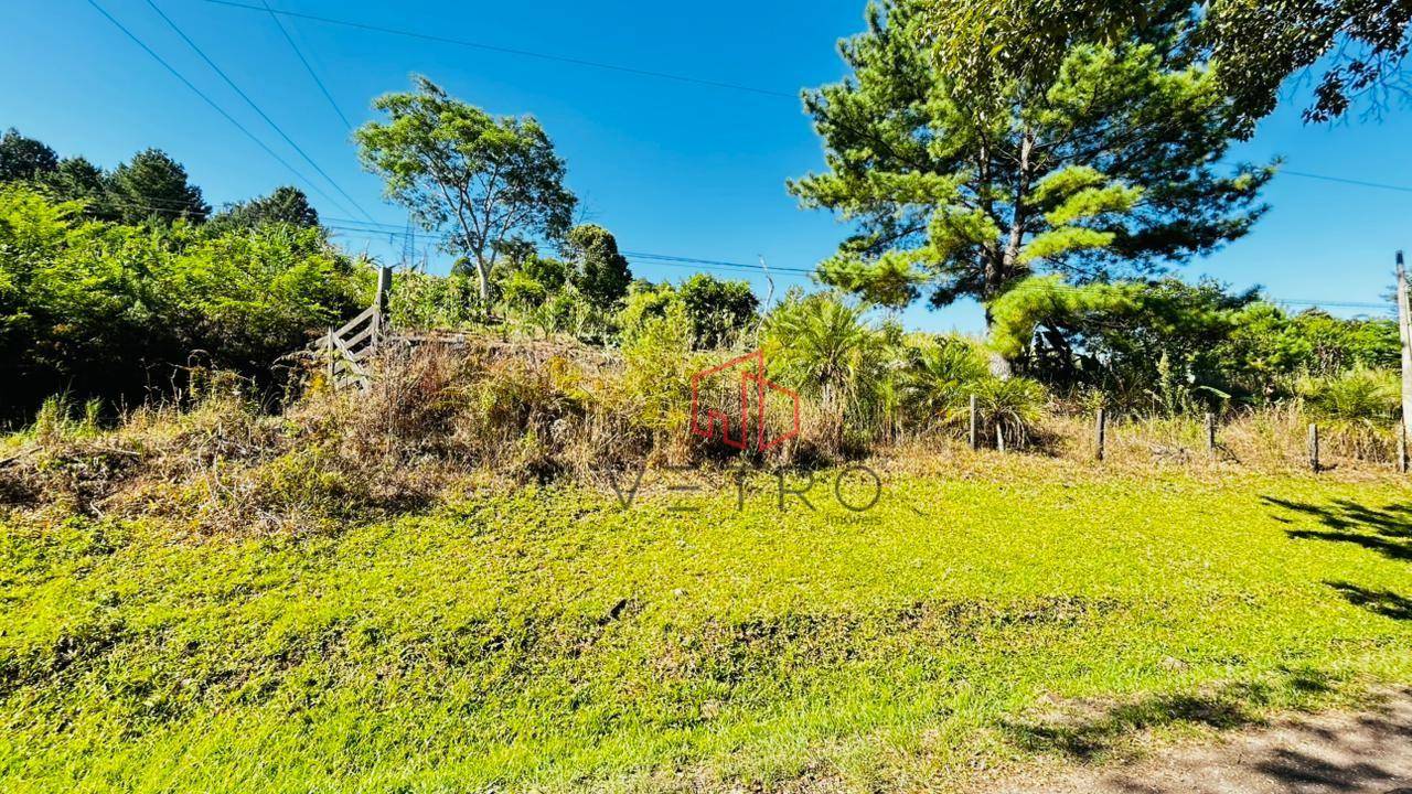 Sítio, 2 hectares - Foto 16