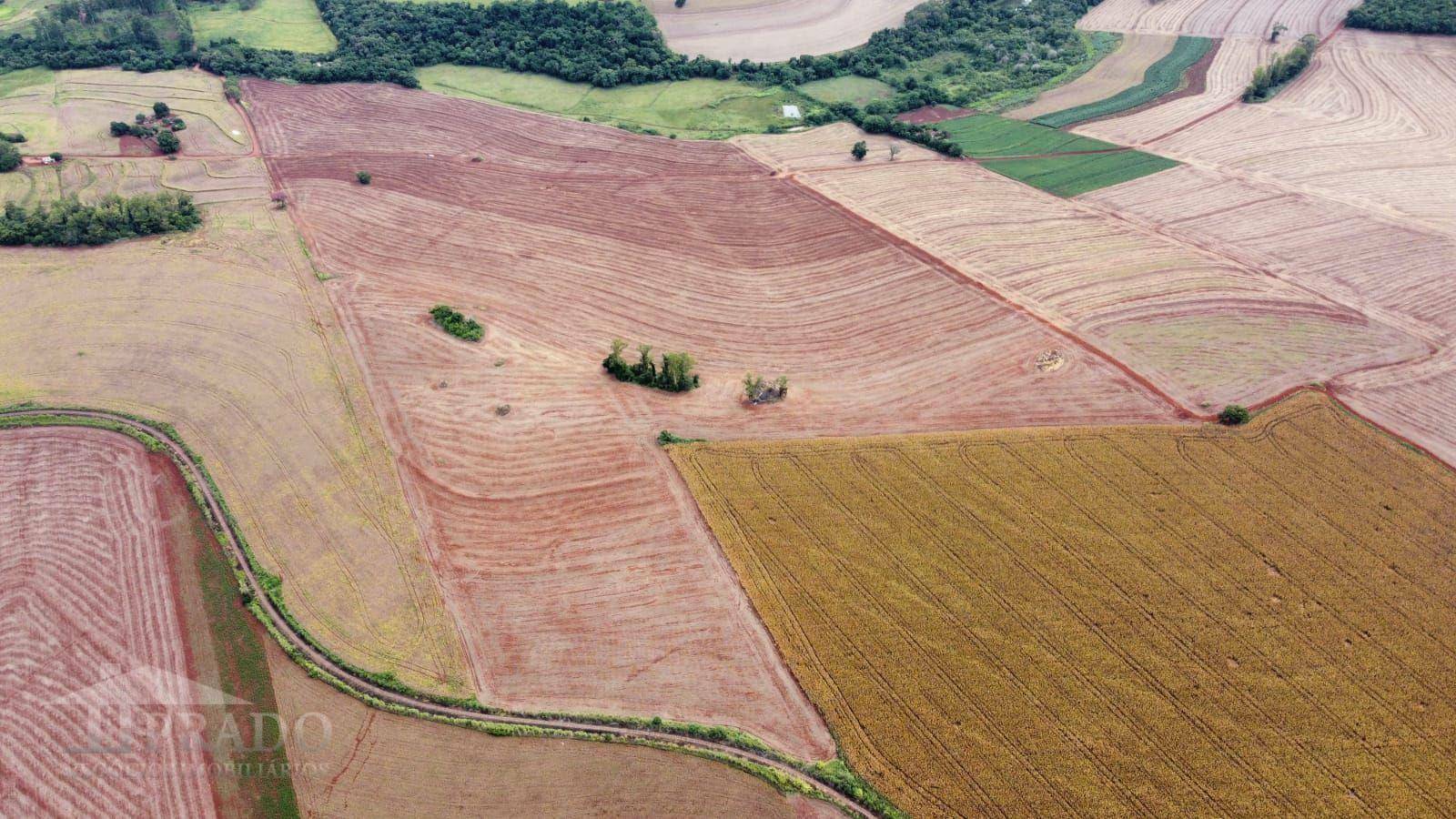 Sítio à venda, 1m² - Foto 4