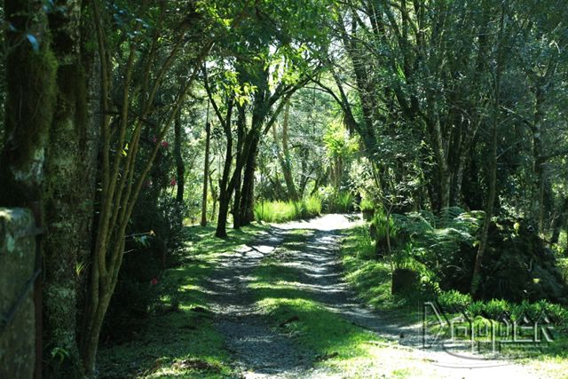 Terreno à venda - Foto 1