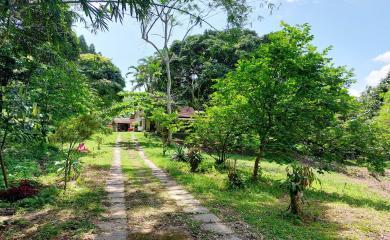 Fazenda à venda com 3 quartos, 11000m² - Foto 11