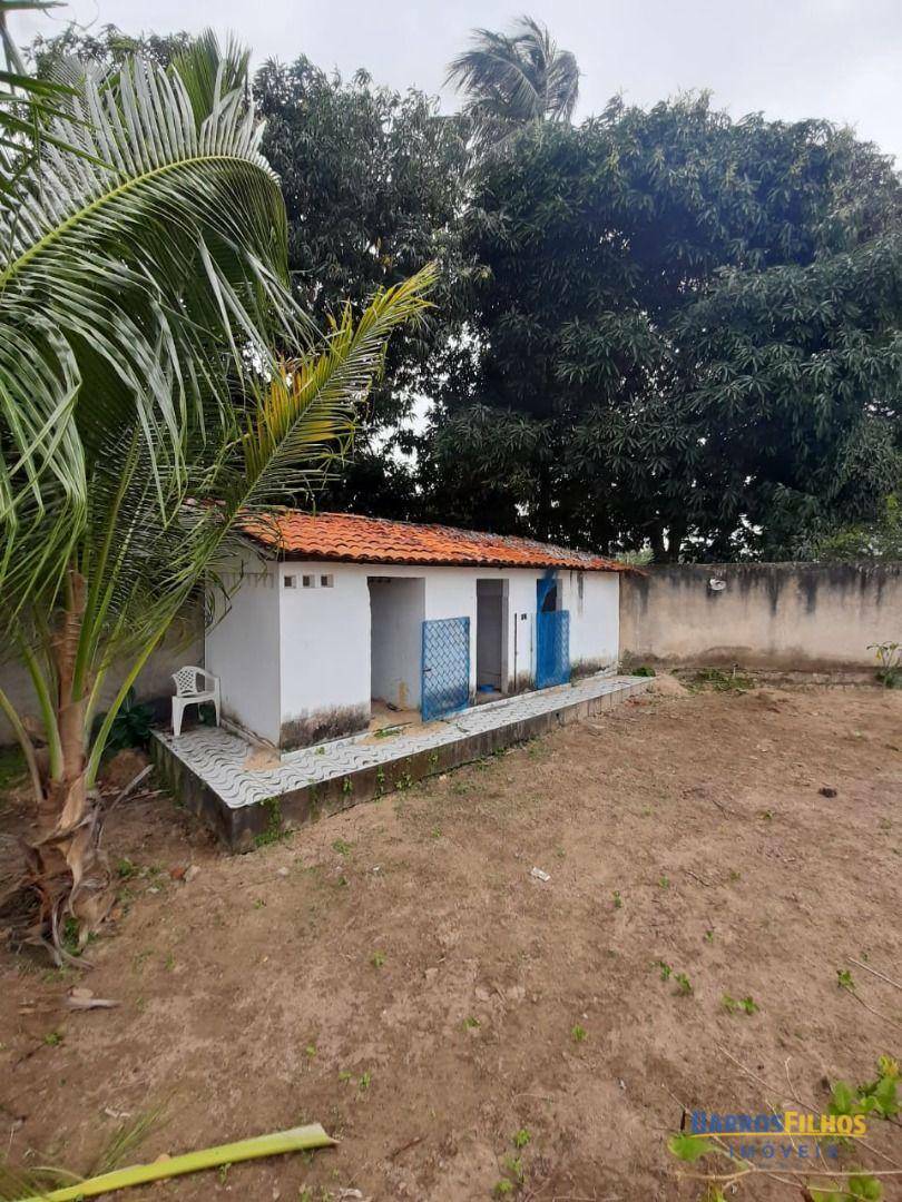 Chácara à venda e aluguel com 4 quartos, 4500M2 - Foto 18