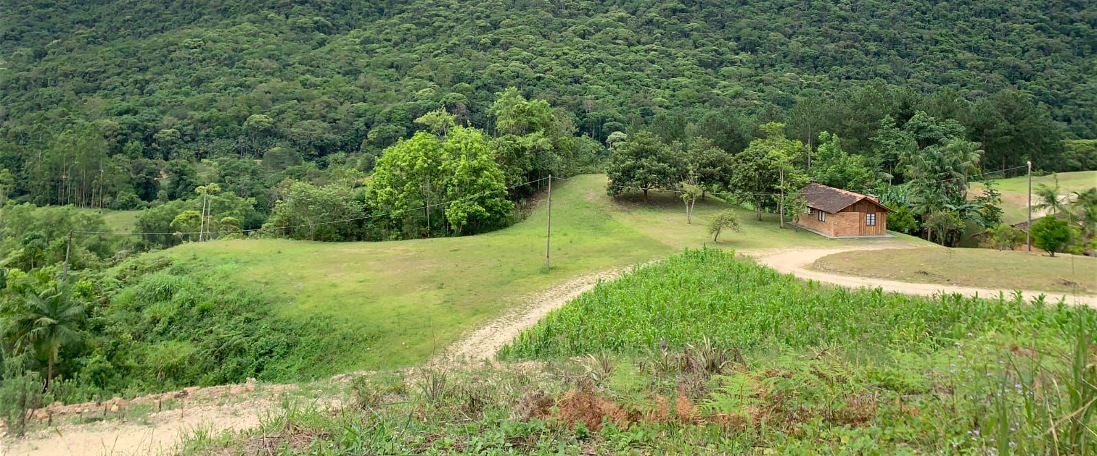 Loja-Salão à venda, 265800M2 - Foto 16