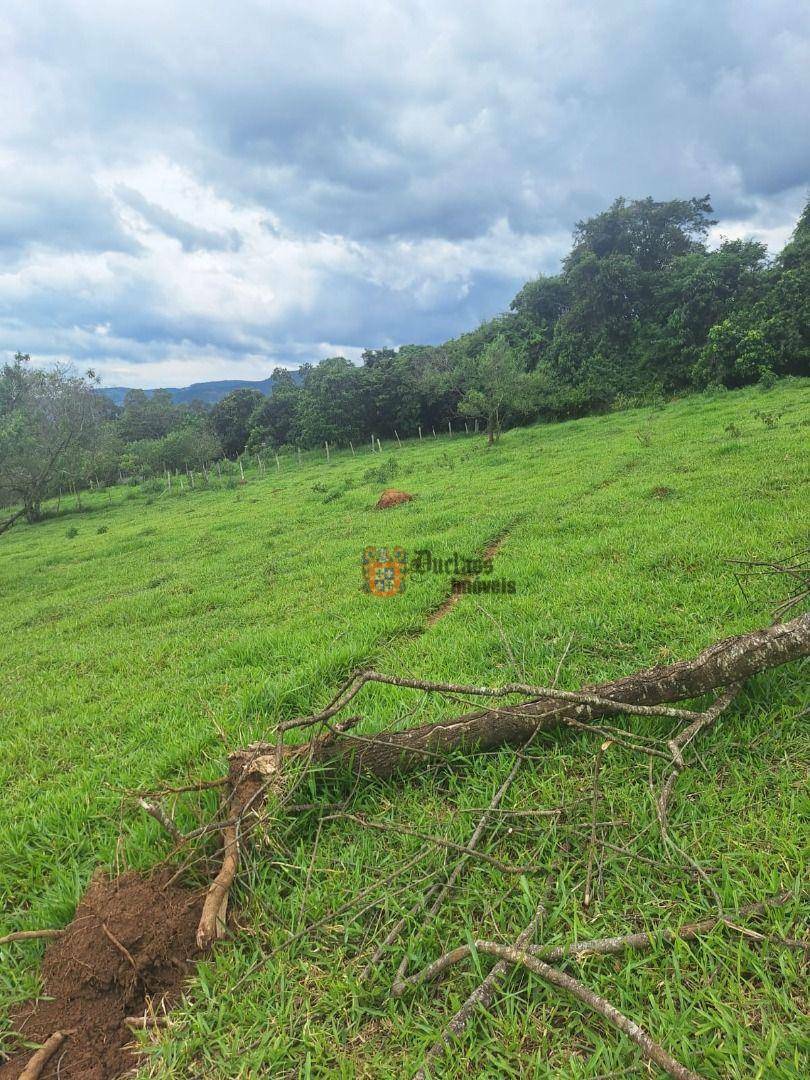 Terreno à venda, 1000M2 - Foto 14