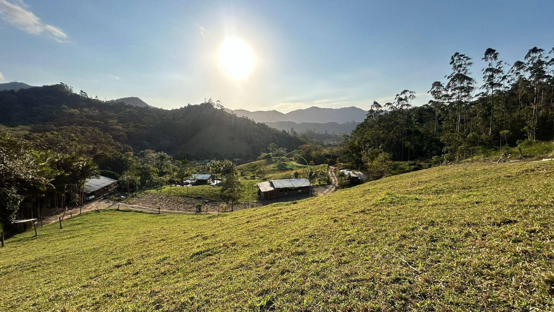 Sítio, 16 hectares - Foto 4