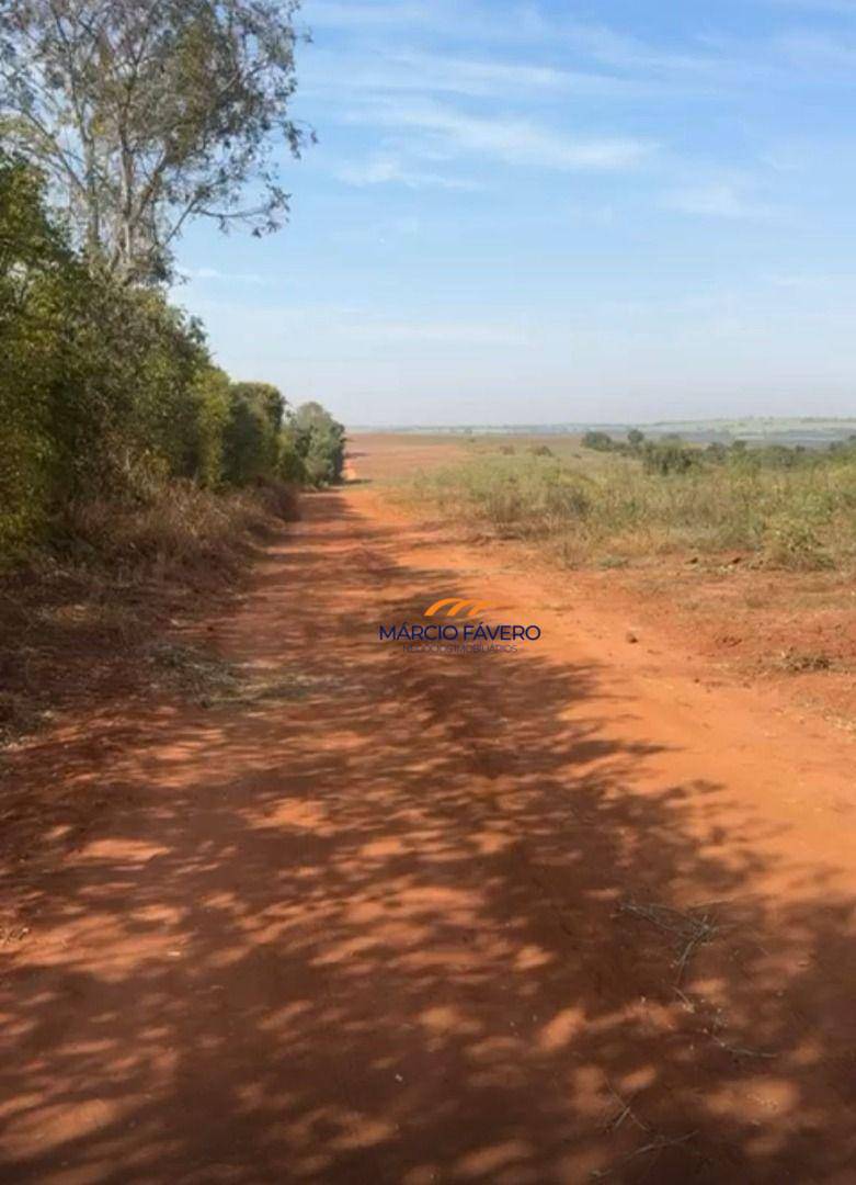 Fazenda, 121 hectares - Foto 3